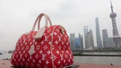 LVMH Shares Surge on Robust Demand from China News