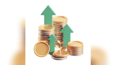 Positive Economic Outlook: Domestic Demand Fuels Growth in H2 FY26 with Support from Festive Sales and Government Spending