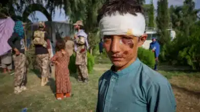 Survivors Seek Refuge in Fields Amid Rising Death Toll