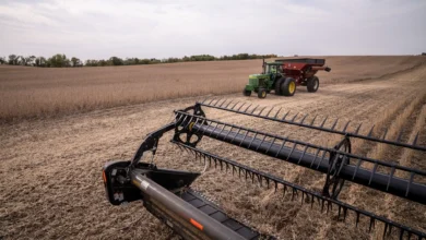 US-China Soybean Trade Set to Restart