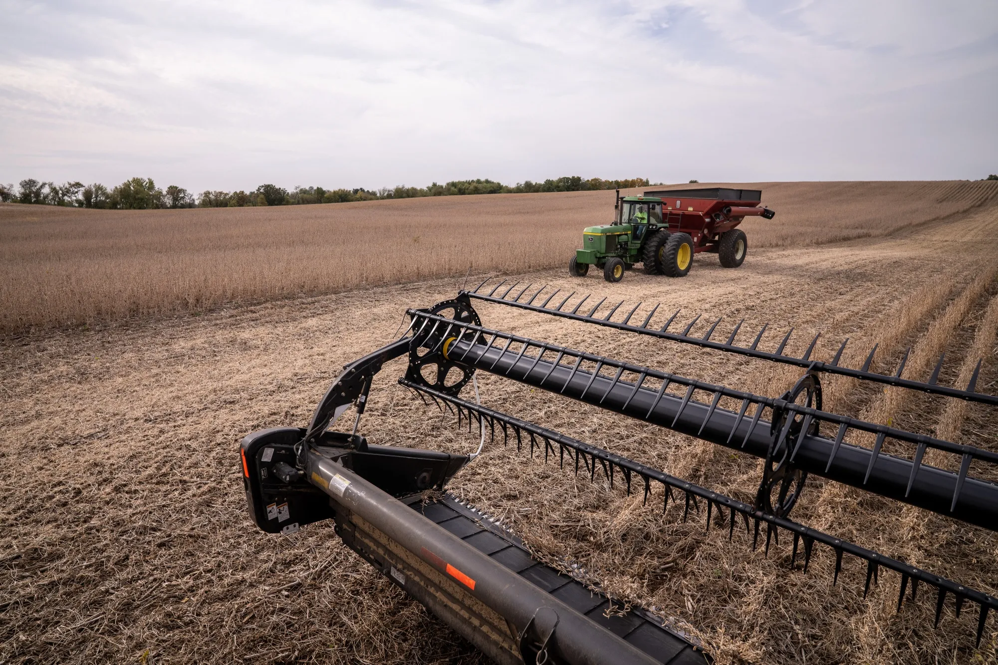US-China Soybean Trade Set to Restart