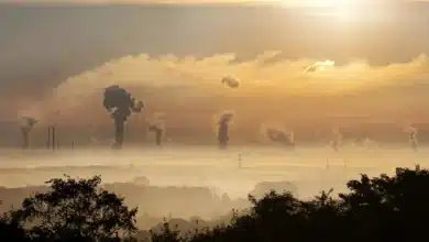 India's Controversial Air Quality Standards: Why Pollution Levels Are Limited to 500 Despite Greater Toxicity