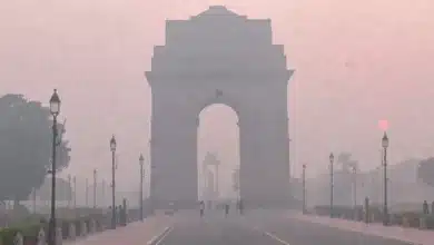 Children Account for 43% of Pollution-Related Health Insurance Claims