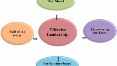 Exploring Co-Leadership Models in Response to Business Complexities