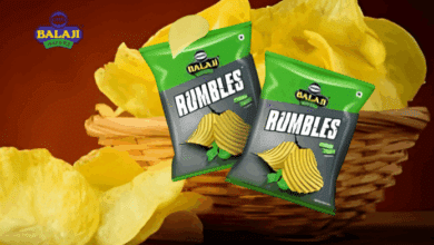 General Atlantic Approaches 7% Stake Acquisition in Balaji Wafers, Valuing the Snack Company at $4 Billion