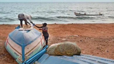 Government Issues Rules for Sustainable Fisheries in the Exclusive Economic Zone