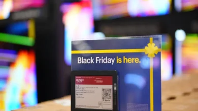 India Experiences 20-25% Sales Surge During Black Friday-Cyber Monday as Brands Launch Promotions Early