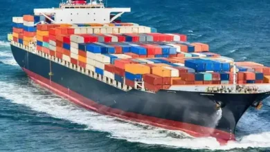 India's Diversification Strategy Yields Results as Non-US Markets Compensate for US Export Losses