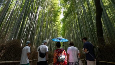 Japan's Tourism and Retail Stocks Plummet Amid Ongoing Tensions with China