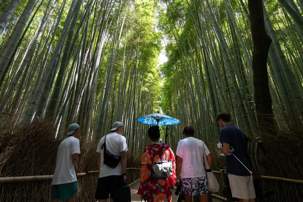 Japan's Tourism and Retail Stocks Plummet Amid Ongoing Tensions with China