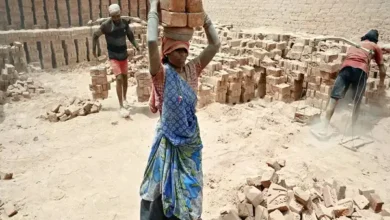 Labour Codes Implementation: Enhancing India's Export Readiness with Predictable Costs