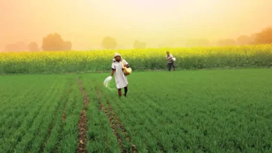Government Unveils Measures to Boost Agricultural Credit Flow