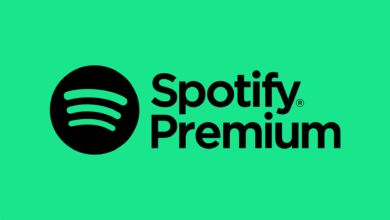 Spotify Launches 3-Month Free 'Premium Standard' Plan: Find Out Your Eligibility