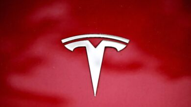 Survey Reveals Political Factors Behind Tesla's Backlash Among EV Drivers in the US and Germany