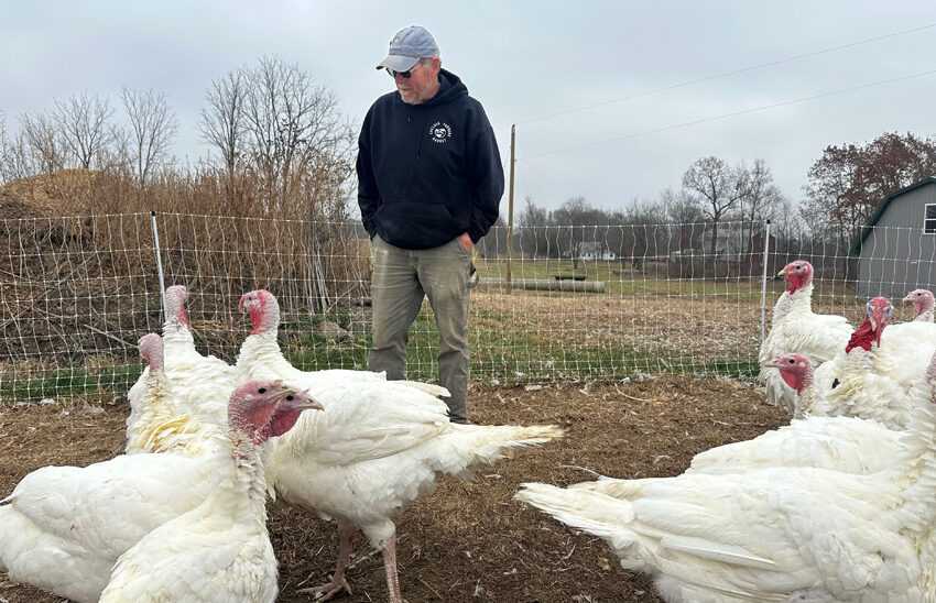 Thanksgiving Costs Decline This Year: Implications for the Economy