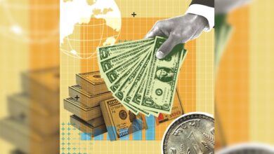 2025 Set to Welcome $135 Billion in Foreign Direct Investment Commitments