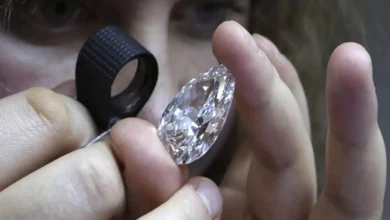 ALROSA CEO Discusses Diamond Market Outlook: India's Adaptation to US Tariffs