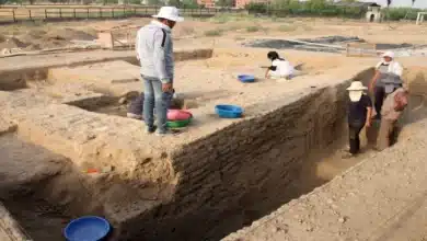Archaeological Survey of India Boosts Excavation Efforts and Staff