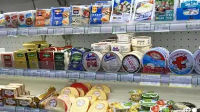 Beijing Imposes 42.7% Provisional Duty on EU Dairy Imports, Citing Domestic Industry Protection