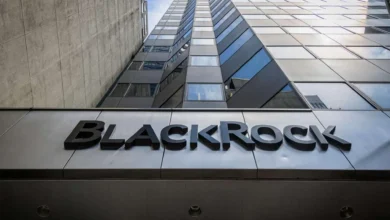 BlackRock Plans Significant Investment in Birla's Renewable Energy Division