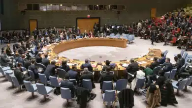 Central African Countries Achieve Electoral Progress and Security Gains, Reports Senior UN Official to Security Council