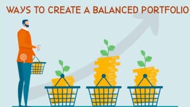 Creating a Balanced Investment Portfolio: Determining the Right Number of Stocks