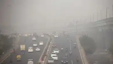 Delhi-NCR Forms Expert Committee to Tackle Air Pollution from Vehicles