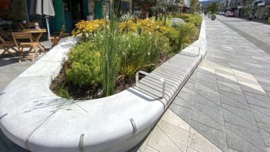 Dunedin’s inner-city greening project shows even small spaces can be wildlife havens