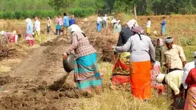 Empowering Rural India: Major Initiative Launched for Job Creation