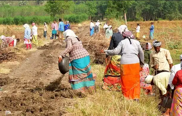Empowering Rural India: Major Initiative Launched for Job Creation