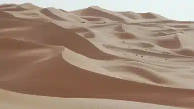 Exploring Why Saudi Arabia and the UAE Source Sand from Australia Despite Vast Deserts