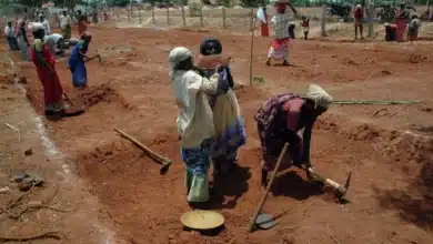 Government Reports: 8% of Families Received 100 Days of Work Under NREGA Over the Past Three Financial Years