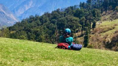 India Advances Eco-Tourism and Tourist Safety Initiatives