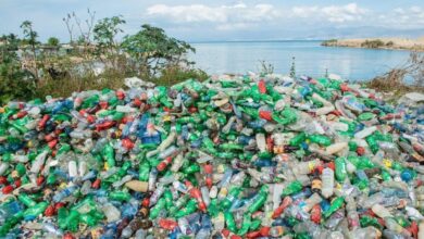 India-EU Ideathon Tackles Marine Plastic Pollution