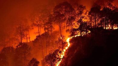 India Leads Global Effort to Combat Rising Wildfire Threats