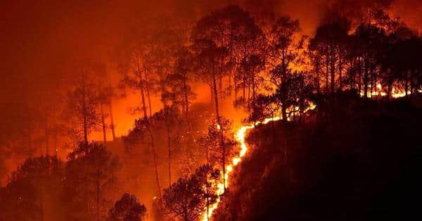 India Leads Global Effort to Combat Rising Wildfire Threats