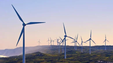 India Strengthens Energy Access and Sustainability in 2025