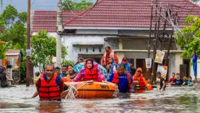Indonesia Floods Claim Over 500 Lives as Rescue Efforts Intensify