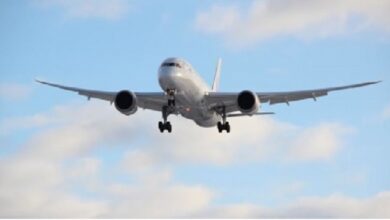 NGT Prolongs Deadline for Environment Ministry's Response on Puri Airport Appeal