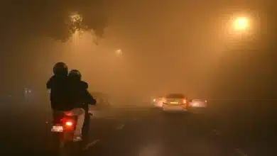 NHAI Enhances Safety for Highway Users Amid Winter Fog