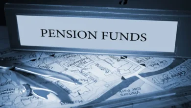 NPS Investment Update: Scheme A to Merge with C and E - Key Insights for Tier I Subscribers
