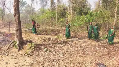Progress Report on Forest Rights Implementation in Chhattisgarh