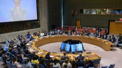 Speakers Urge Security Council for Results in Ongoing Peace Talks