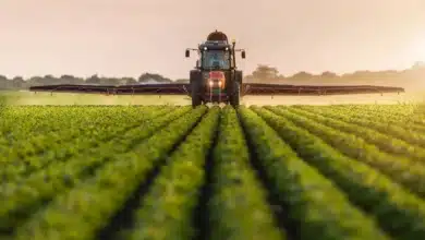 Survey to Enhance Insights into India's Non-Agricultural Sector