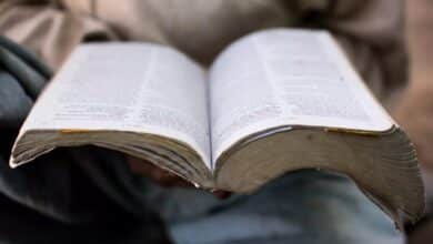 The Push for Universal Bible Translation by 2033