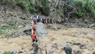 Tourists Rescued Amid Chaos and Desperation as Fatal Sinking Unfolds