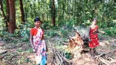 Tribal Affairs Minister Highlights Forest Rights Progress in Lok Sabha