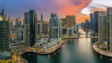 Understanding Free Zones in Dubai: A Guide for Expats Looking to Start a Business