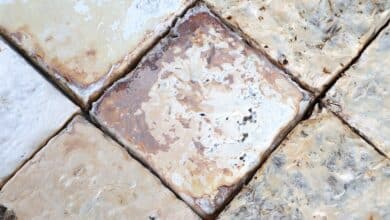 We think of mushrooms as food. But mycelium-based blocks could be the future of construction