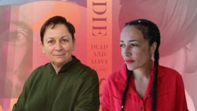 Zadie Smith and Anne Enright help us make sense of troubling times
